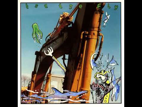 Tse Tse Fly - Scaffolding (1994)