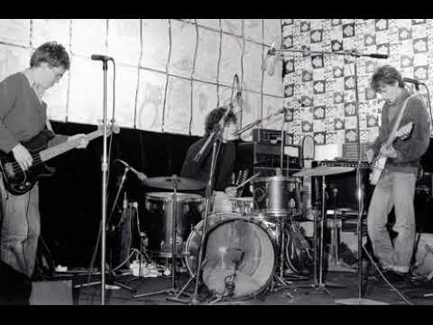 The Clean -  Live at Fabrik, Hamburg 1990