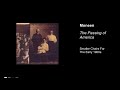Moneen - The Passing Of America