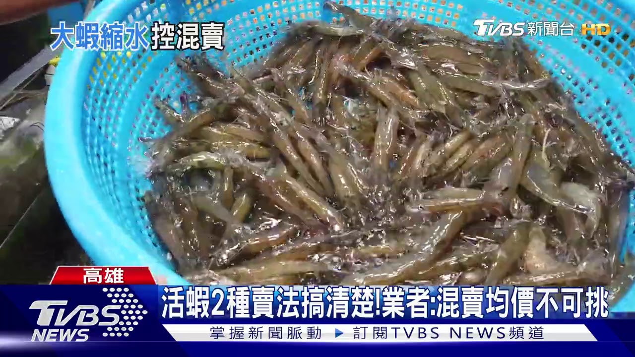蚵仔寮漁市買大蝦變小蝦？　攤商駁：不可能