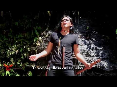 Chakra Mama - KAMBAK  (Video Oficial)