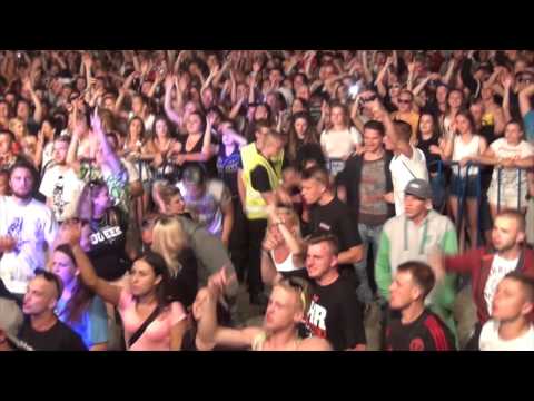 HHRPE 4 2016 - PALUCH