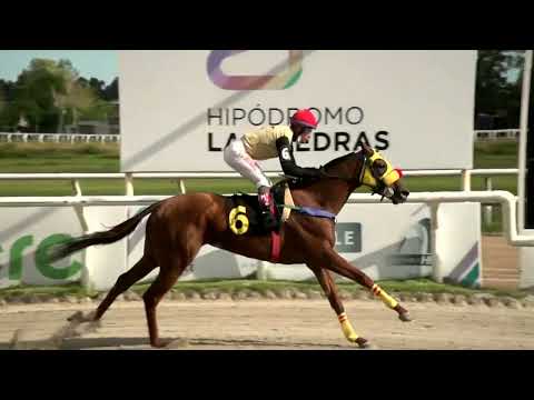 220401 c04 - PITUASH - HIPODROMO LAS PIEDRAS