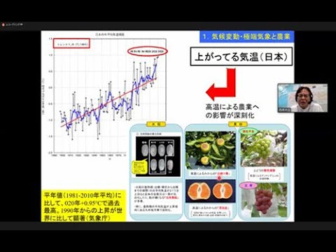  2024年2月に作付けするには、気候変動のため作物を再考する必要がある  庭園