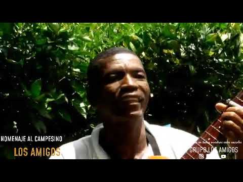 HOMENAJE AL CAMPESINO - GRUPO LOS AMIGOS