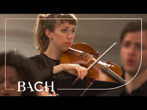 Bach - Ruht wohl, ihr heiligen Gebeine from St John Passion BWV 245 | Netherlands Bach Society