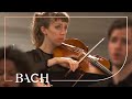 Bach - Ruht wohl, ihr heiligen Gebeine from St John Passion BWV 245 | Netherlands Bach Society