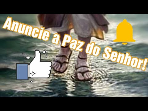 Como São Belos video