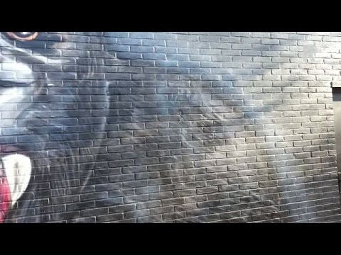 Bokito tegenover de Utrechtse kabouters