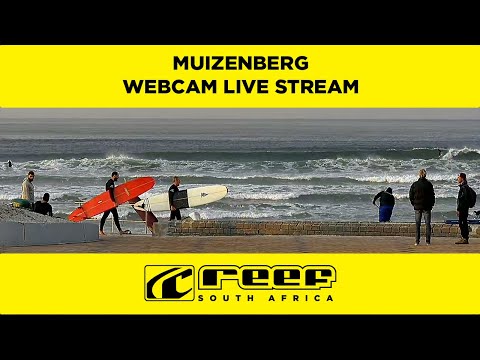 Muizenberg Beach Live Webcam | REEF South Africa  @Reef-SA