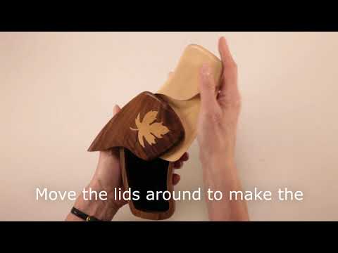 Gravity Pin Puzzle Box - Problem Solving