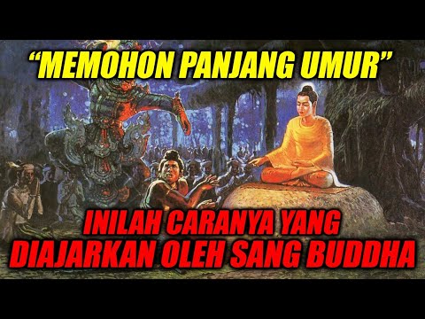 MAU PANJANG UMUR❓INILAH CARA YANG DIAJARKAN OLEH SANG BUDDHA❗Kebenaran kehidupan