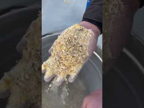 Euromill 25 Öğütme Makinesi İle Yemlik Mısır Kırma İşlemi