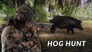 Hunting & Cooking - WILD HOG in Florida