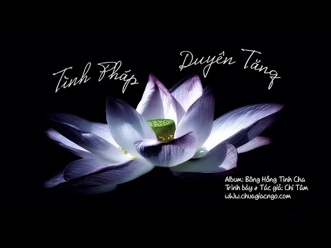 Tình Pháp Duyên Tăng