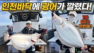 광어다운샷 이렇게 했더니 초보도 성공🔥ㅣ크레만 릴 이벤트 ㅣ 팔이 후들거려서 더는 못 잡겠어요ㅣ연안부두 바니호 🛥️
