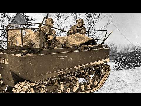 The M29 Weasel: The Tiny Tracked Vehicle That Conquered Snow, Mud, and Saved Allied Logistics