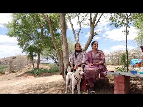 Padma and Ádi