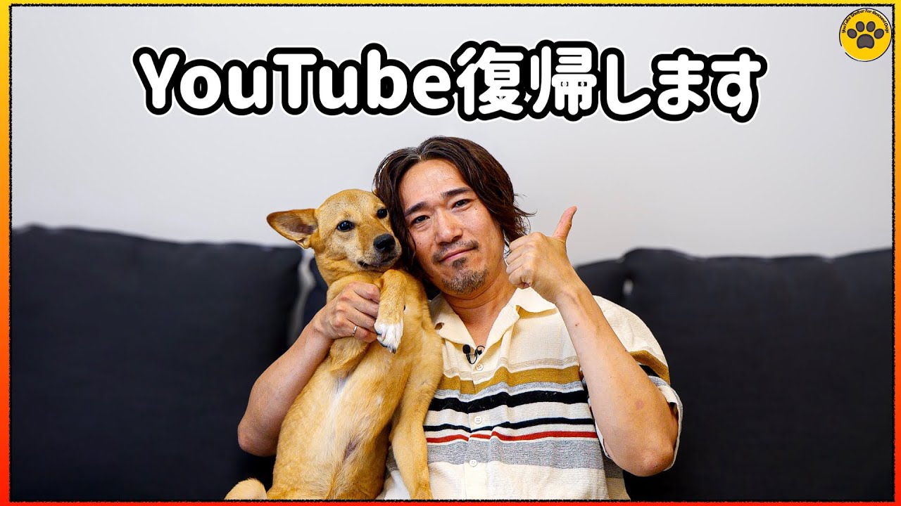 保護犬のためにパワーアップ！💪 半年ぶりのご無沙汰と新しい挑戦🐾