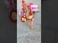 Mai Tujhko Bhaga Laya Hu Tere Ghar Se Trending Ytshorts Video
