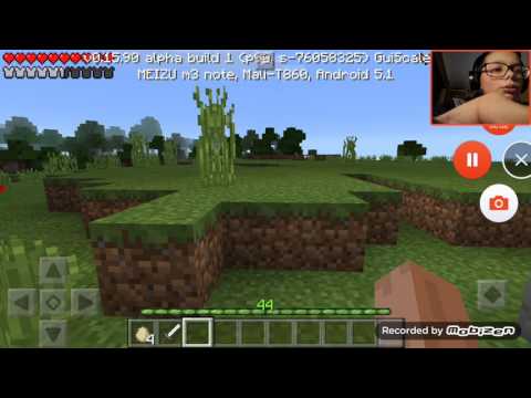 Minecraft #5 Ho costruito una GALLERIA