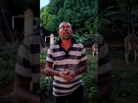 Narración de Martin Carranza