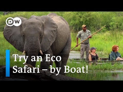 Botswana: Explore the Magical Okavango Delta in a Traditional Mokoro Boat