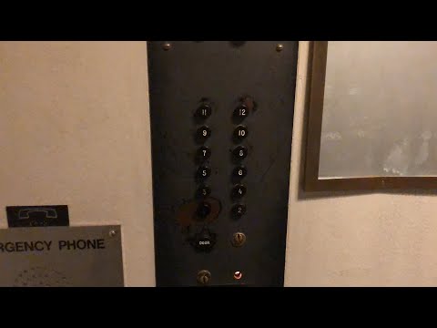 Vintage Westinghouse Service Elevator @ Shore Manor - Chicago, IL.