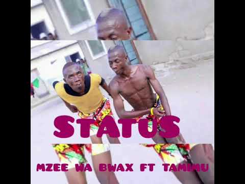 Mzee wa bwax ft tamimu_STATUS video
