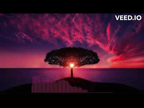 NIGHTTIME QURAN LAST TWO VERSES OF AL BAQARAH   BEFORE SLEEP