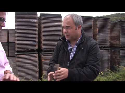 S1_C2.8 - François Frères French Versus American Oak