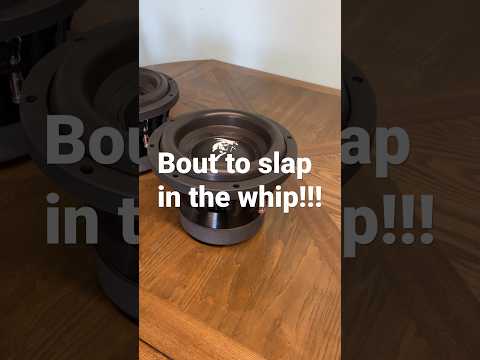 Adire Audio Brahma 10