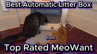 This Litter Box Eliminates the Worst Part of Cat Ownership