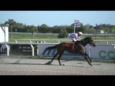 220924 C08 - LEOPARD DANCE - HIPODROMO LAS PIEDRAS