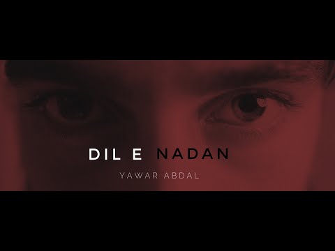 Dil e nadan - Yawar Abdal (official video)