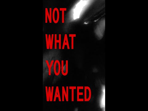 Video thumbnail for NOT WHAT YOU WANTED