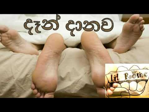 Lil Rome _ Dan daanawa (දැන් දානවා)