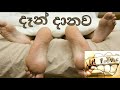 Lil Rome Dan Daanawa දැන් දානවා