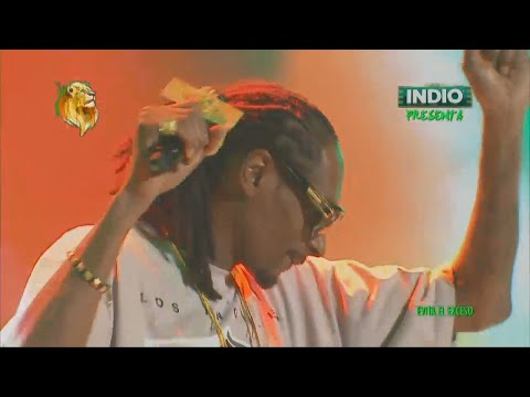 Snoop Dogg baila la Bamba en el Pa'l Norte 2014 [HD]