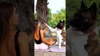 Fitness Interrupted - My Dog the Personal Trainer 😂🐕 #dogfunny #funnyshorts #doglover #dogvideos