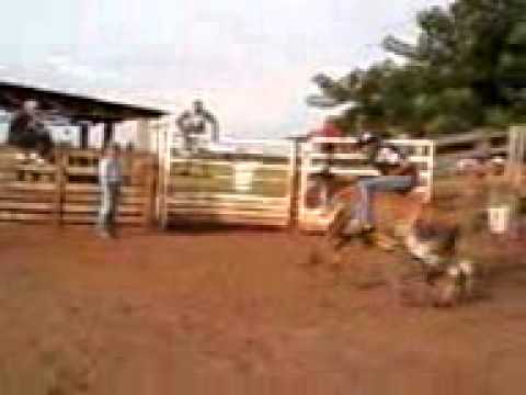 Pietro x carijo do rodrigo