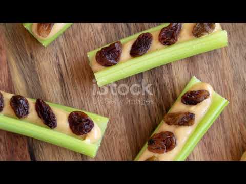 The Secret Lives of Ants: Building Societies in Germany's Forests and Gardens #animal2024 #wildlife