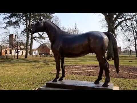 Königsberg Region/Kaliningrad Oblast: Trakehnen - the horse paradise in old East Prussia
