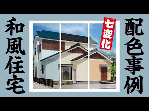 ツートンカラーのピトフーイについて詳しく解説