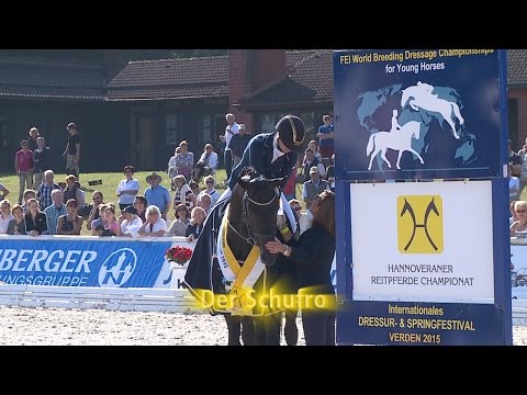 Hannoveraner Reitpferde-Championat 2015 - Dreijährige Hengste