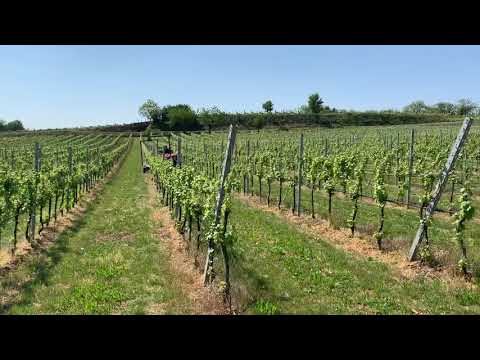 Same - spollonatrice chimica