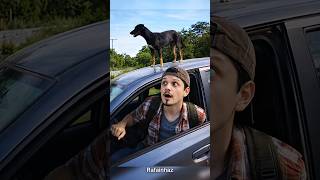 MOÇO… TEM UM CACHORRO NO TEU TETO 😂🐶