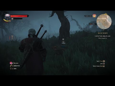 The Witcher 3: Wild Hunt how to wake up gaspard