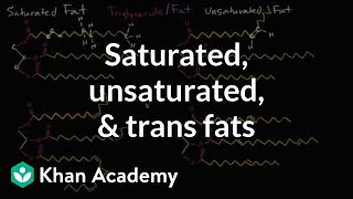 Saturated Fats, Unsaturated Fats, and Trans Fats