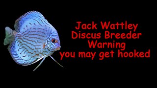preview picture of video 'Trip to local breeder Jack Wattley WARNING YOU MAY GET HOOKED'
